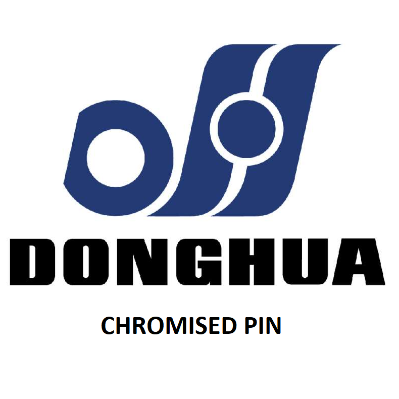 12B2 Roller Chain Per Meter (Donghua Chromised Pin)