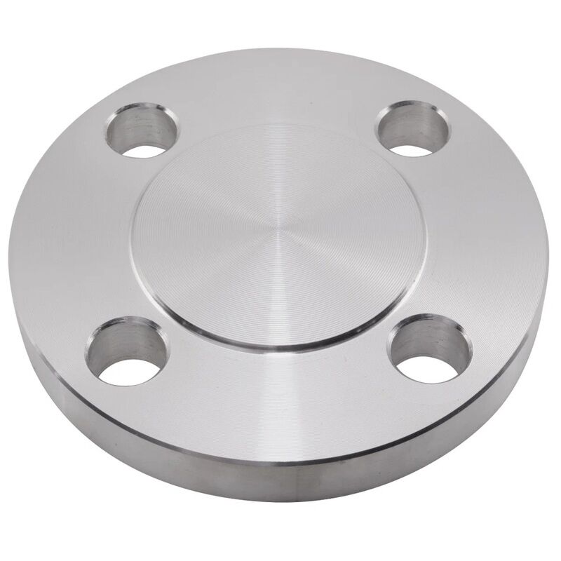 1/2inch NB PN6 Type 05 Raised Face Blind Flange SS316L