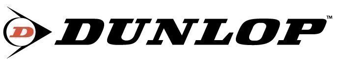 SE38 Dunlop Tensioner Arm for Chain or Belt Drives 