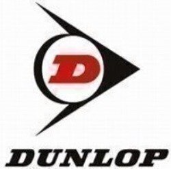 UCP210 Dunlop 50mm Pillow Block Bearing