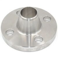 300LB Raised Face Weld Neck Sch10 Flange Stainless Steel ...