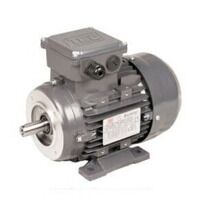 Foot & Face Mounted Motors (B34)
