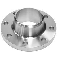 1/2inch NB PN6 Type 11 Raised Face Weld Neck Flange 316L Sch10
