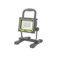 Lighthouse 4000 Lumen Site Light 38W 110V